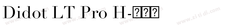 Didot LT Pro H字体转换